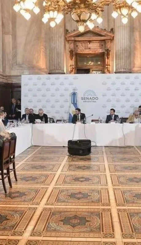 comisiones-del-senado-jpg.