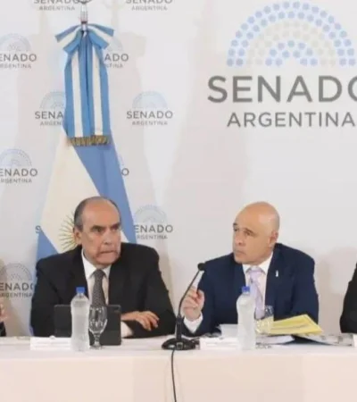 senado-comisiones-ley-basesjpeg-jpg.