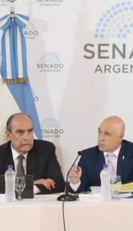 senado-comisiones-ley-basesjpeg-jpg.