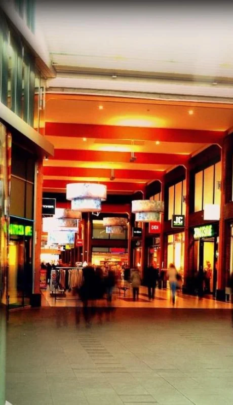 pexels-demian-smit-449559-jpg.