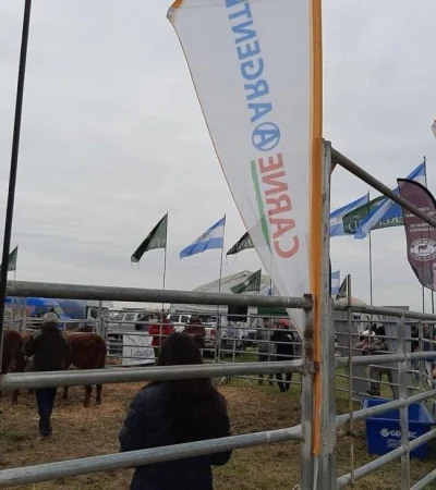 ipcva-agr-1200x900-jpg.