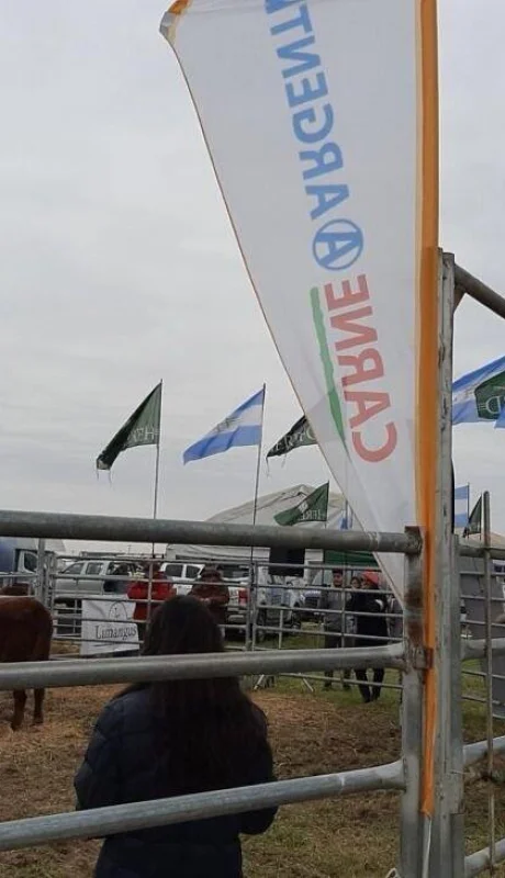 ipcva-agr-1200x900-jpg.