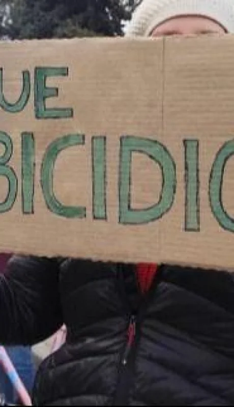 triple-femicidio-protesta-png.