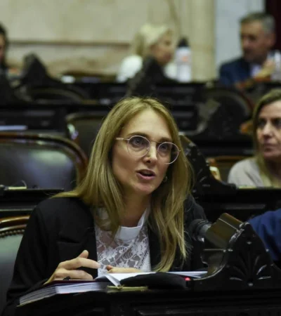 Diputada Gabriela Brouwer de Koning