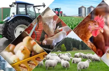 Mendoza, un punto de encuentro para el crecimiento agroindustrial