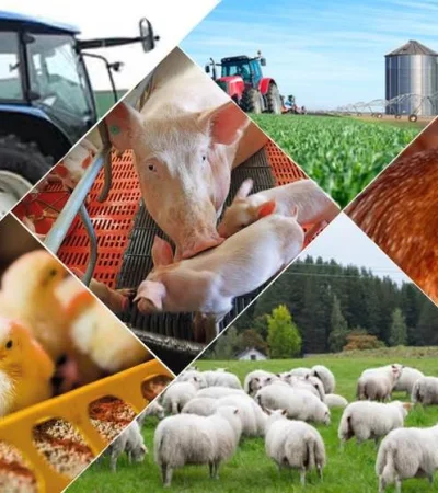 Mendoza, un punto de encuentro para el crecimiento agroindustrial