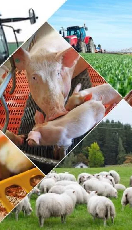 Mendoza, un punto de encuentro para el crecimiento agroindustrial