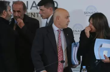 Empieza la negociación artículo por artículo de la Ley Bases