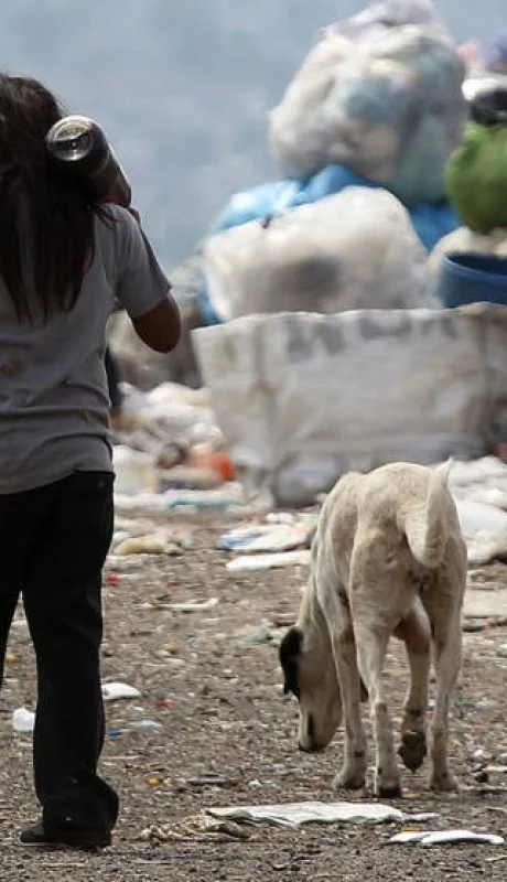 Pobreza e indigencia.
