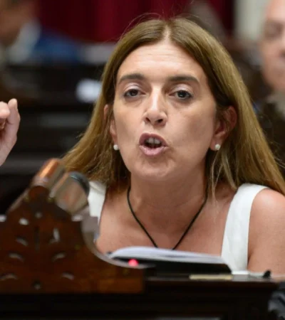 Diputada Danya Tavela