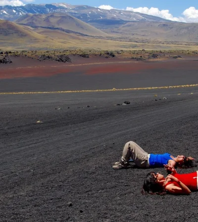 El ambiente desértico rebosa de vida que se adapta a un riguroso clima y supera los obstáculos que este impone.