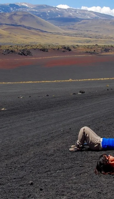 El ambiente desértico rebosa de vida que se adapta a un riguroso clima y supera los obstáculos que este impone.