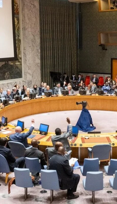 Consejo de seguridad