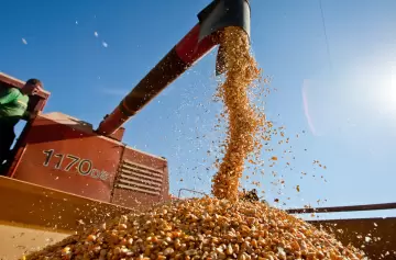 Alerta sobre exportaciones del agro causa preocupación