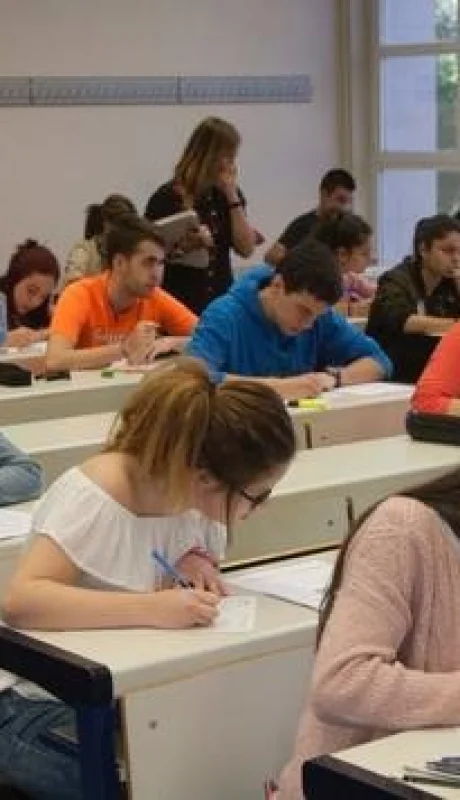 Cronograma de pagos ANSES en diciembre.