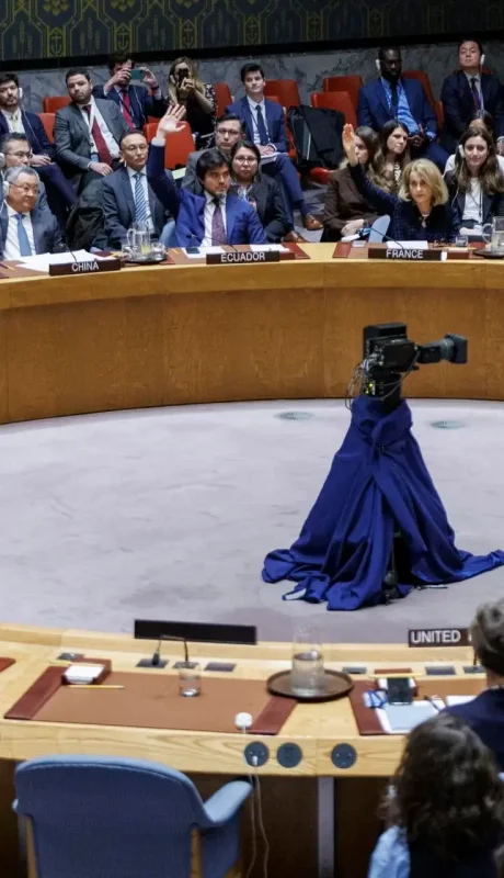 consejo de seguridad