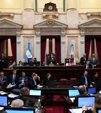 El Senado trata la Ley Bases