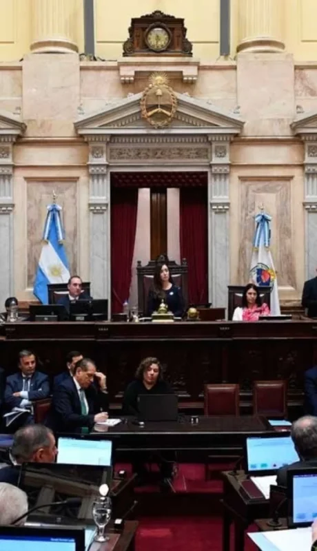 El Senado trata la Ley Bases