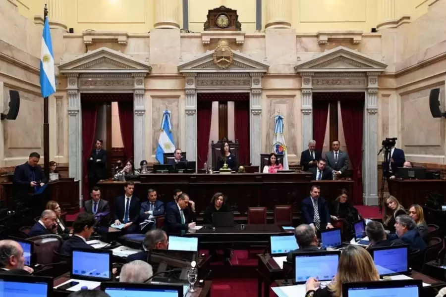 El Senado trata la Ley Bases