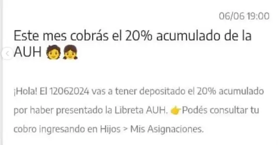 20% retenido de la AUH en junio 2024