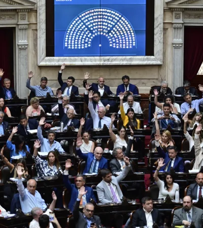 Tratamiento de la Ley Bases en el Congreso Nacional