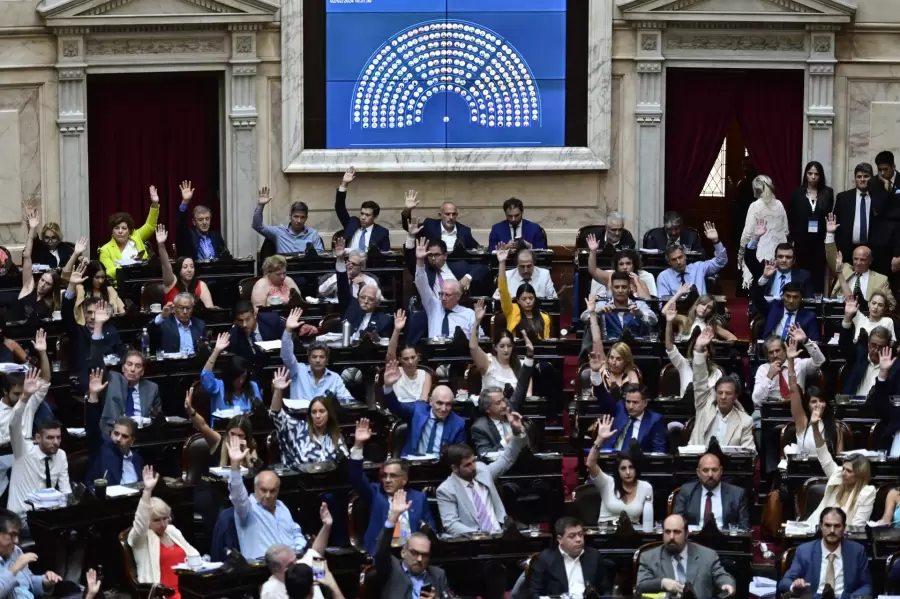 Tratamiento de la Ley Bases en el Congreso Nacional