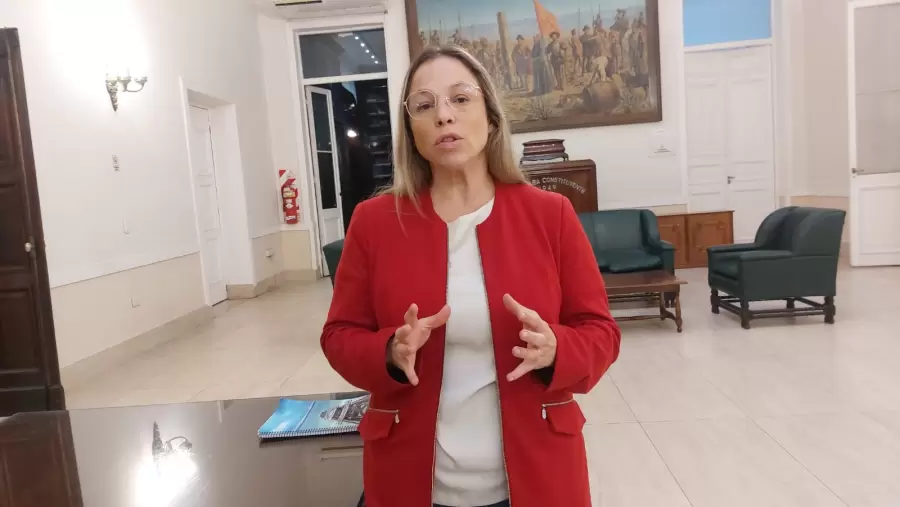 Diputada Beatriz Martínez.