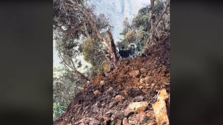 Momento en que se desprende la ladera del cerro