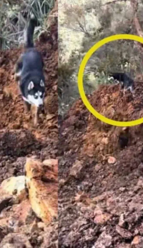 Momento en que se desprende la ladera del cerro
