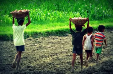 Destacan el trabajo de Argentina en la erradicación del trabajo infantil