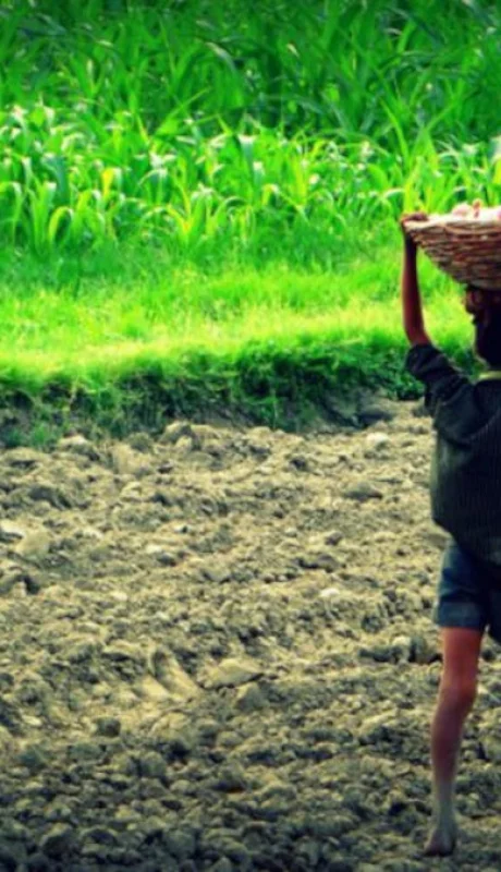 diamundialtrabajoinfantil