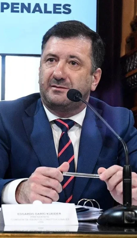 Senador nacional por Unidad Federal, Edgardo Kueider.