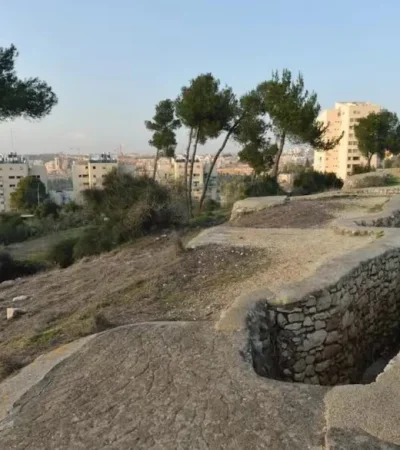 Descubrimiento Arqueológico.