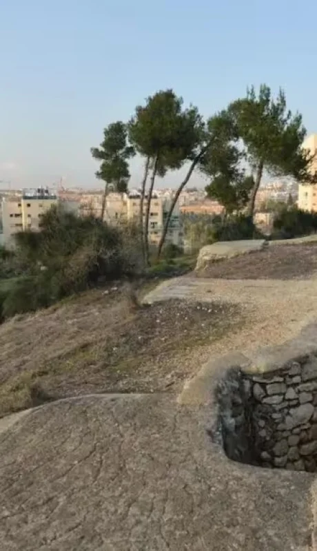 Descubrimiento Arqueológico.