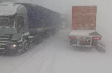 Unos 1.600 camiones están demorados en Mendoza sin poder cruzar a Chile