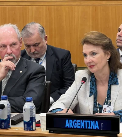 Diana Mondino Comité de Descolonización