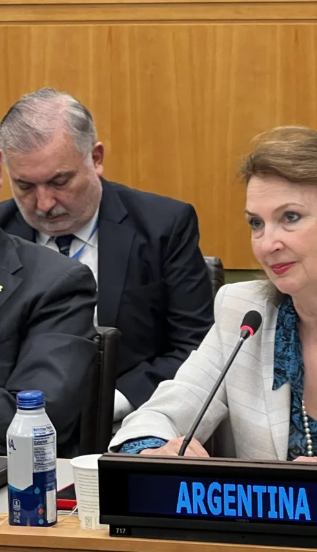 Diana Mondino Comité de Descolonización