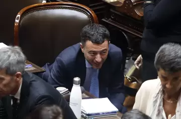 Ley Bases: senadores radicales piden que sus pares diputados respeten los cambios