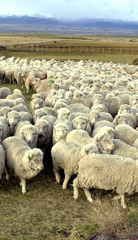 Chubut - Producción petrolera