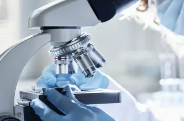 Reconstruyen la evolución de una proteína bacteriana ancestral