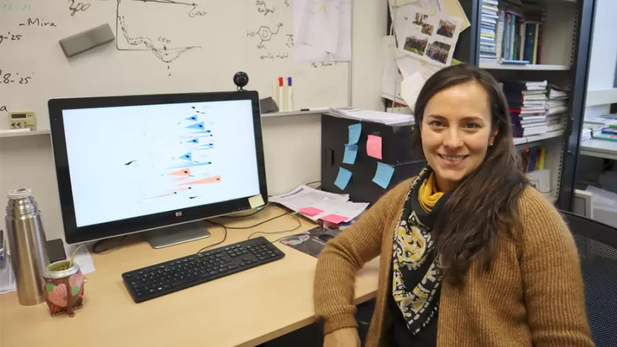 Científica del Conicet Laura Mascotti, líder del equipo de trabajo.