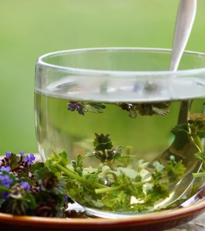 Té de cilantro