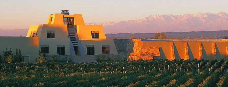 catena_zapata_bodega_vinedos_vitivinicultura