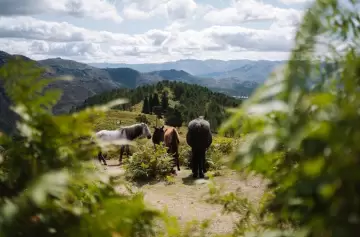 El cierre del IDR preocupa al sector productivo y amenaza 50 puestos de trabajo