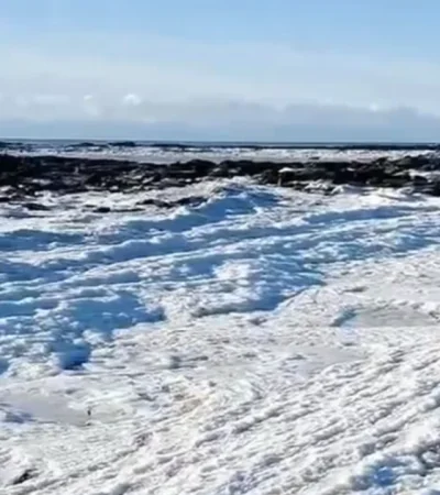 El hecho ocurrió en inmediaciones de San Sebastián, al norte de Río Grande.