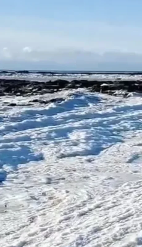 El hecho ocurrió en inmediaciones de San Sebastián, al norte de Río Grande.