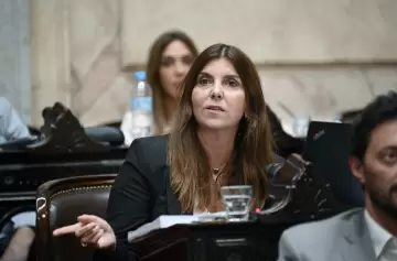 Hay acuerdo por dictamen único para aprobar la Ley Bases en Diputados