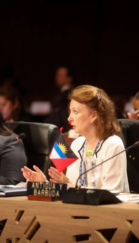 La Asamblea General de la OEA adoptó una nueva Declaración sobre la Cuestión de las Islas Malvinas