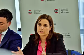 Carrizo sobre el Pacto del 9 de Julio: "La educación no puede estar afuera del acuerdo"