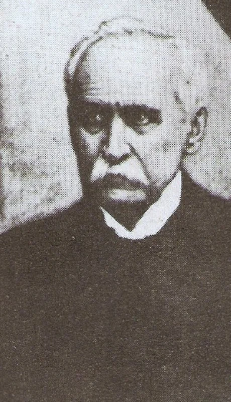 Vicente Fidel López, el ministro de Economía que rescató a la Argentina del colapso